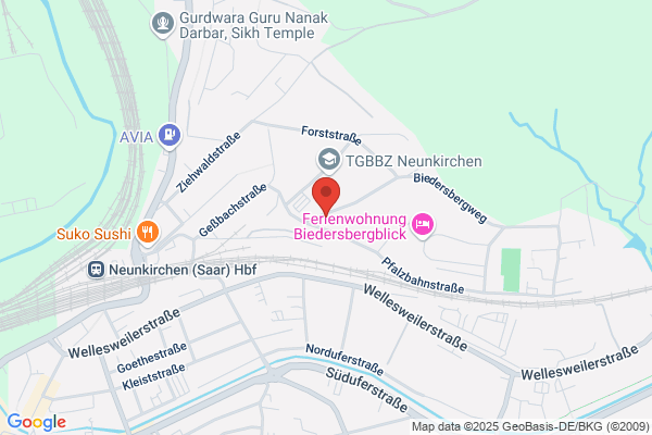 NLP Trainerin Karin Fees