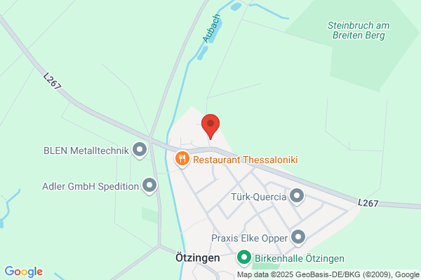 Schachfreunde Ötzingen