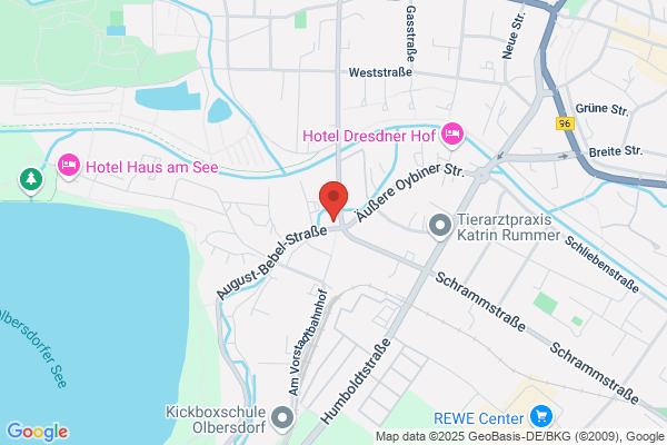Harry Arlt