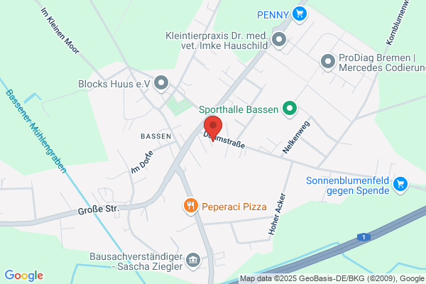 INFO Anzeigenverwaltung + Verlag