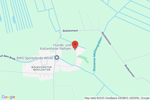 Susanne Wandycz Hunde- und Katzenhotel / Training- und Beratung