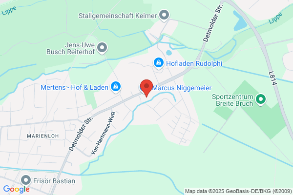 Carrent Autovermietung