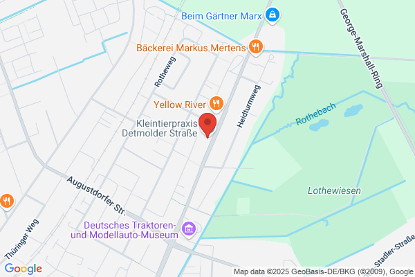 Hundephysiotherapie Paderborn