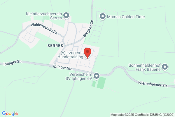 dogzohn  -  Hundetraining und Verhaltenstherapie