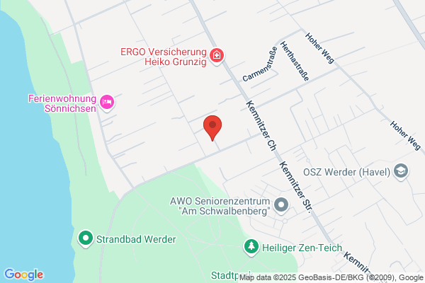 Blumen Steinbach