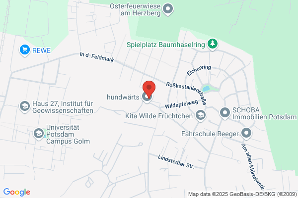 Fotograf Tim I Hochzeitsfotograf und Business Fotografie