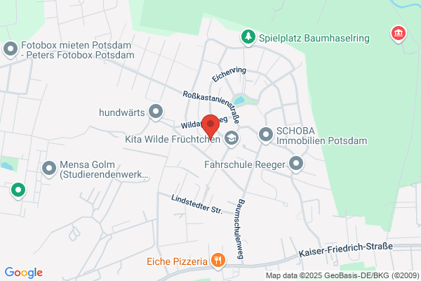 Baumarbeiten Borowczak Fröbe