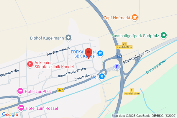 Institut für Umweltstudien Weibel & Ness GmbH