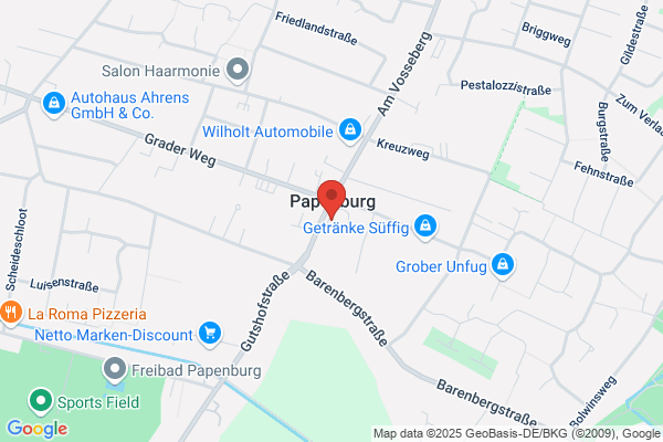 Autohaus Falkenstein GmbH & Co. KG