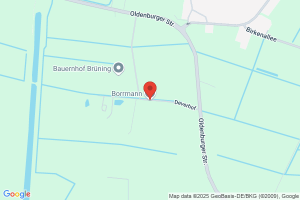 Borrmann