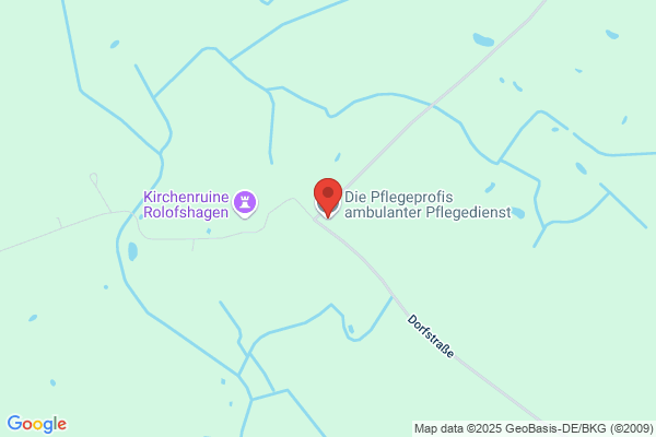 Pflegedienst Die Pflegeprofis