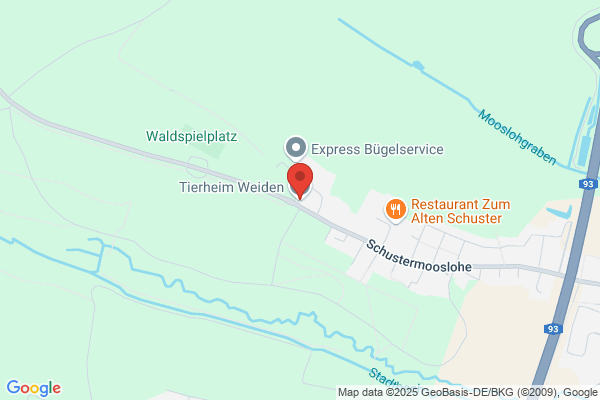 Tierheim Weiden