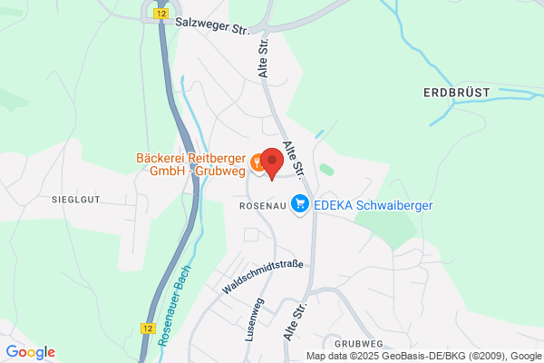 Dellinger GmbH