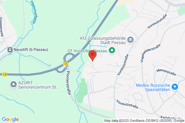 Home Instead (Passau)