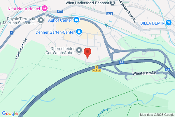 Rauscher & Co Verbandstoff- u. Wattefabriken GmbH & Co KG