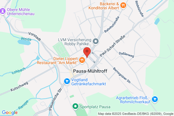 Stadt Pausa
