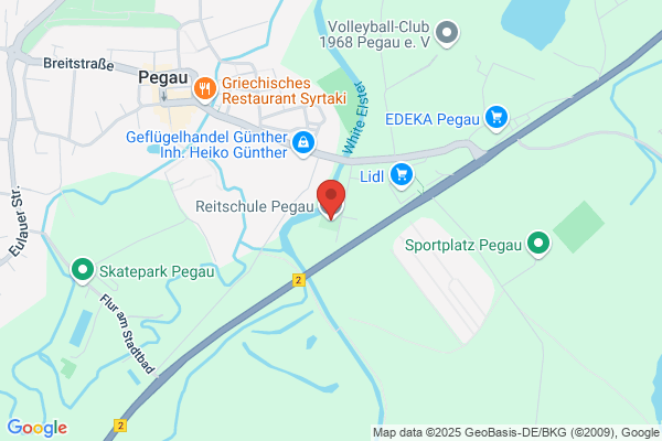 Pferdephysiotherapie Sachsen