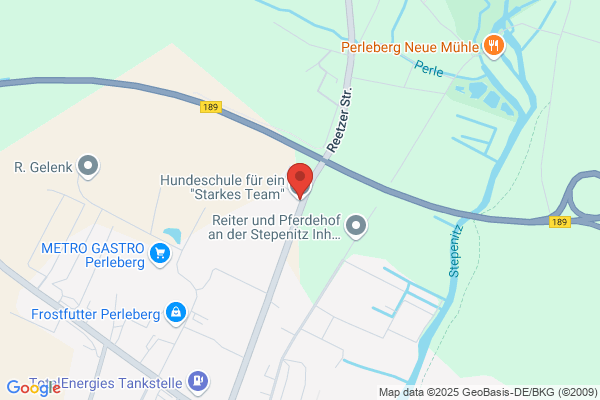 Hundeschule für ein "Starkes Team"