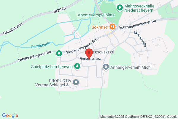 RAYONEX-Vertretung H. Schindler
