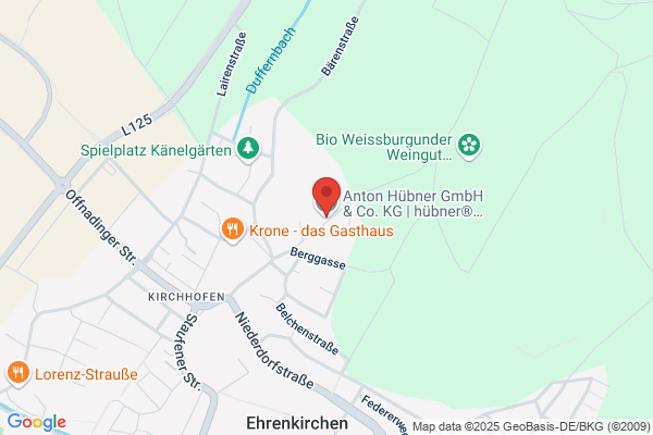 Hübner Anton GmbH & Co. KG