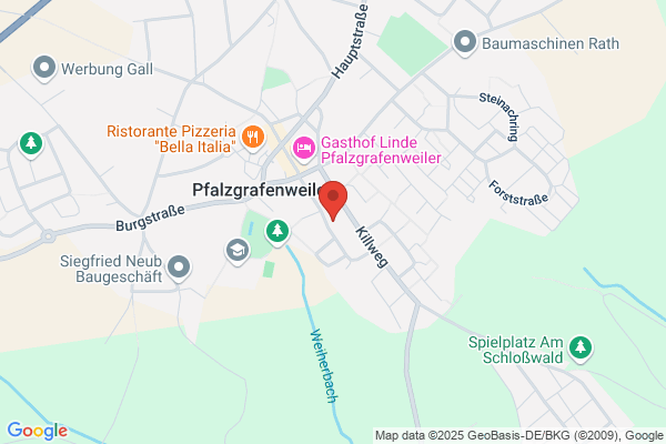 Scholz Kiefer -