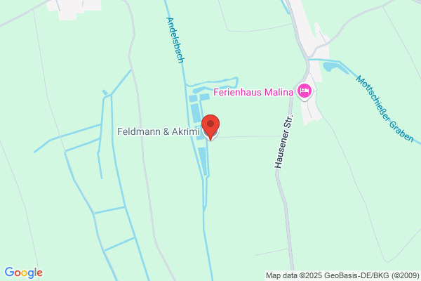 Feldmann