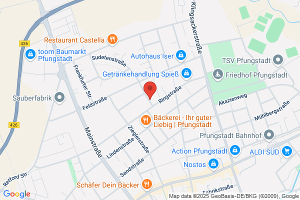 IFW Dipl.Ing. Wenz GmbH