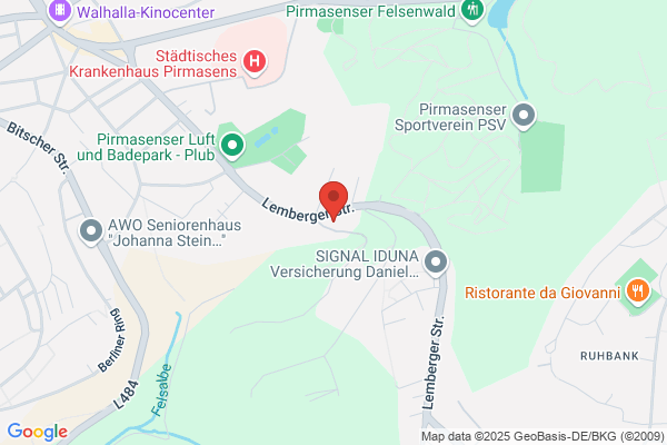 Buchbinder rent-a-car