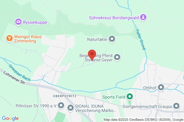 Gebäudereinigung Matthias Jentzsch