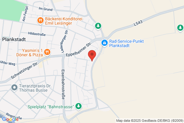 Landtagsabgeordneter Gerhard Stratthaus