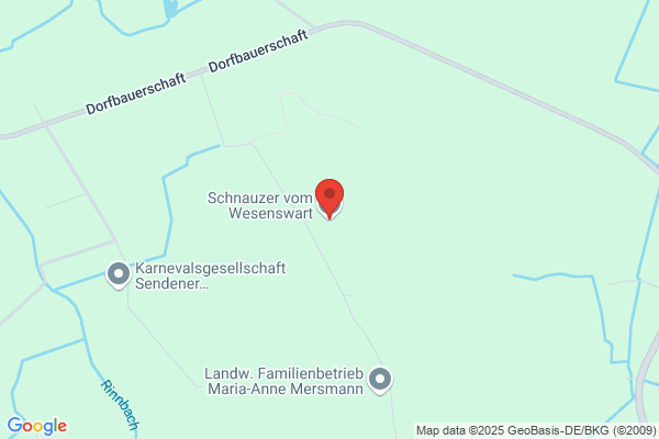 riesenschnauzervomweselerwald