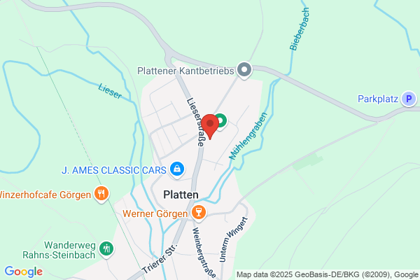 Ortsgemeinde Platten