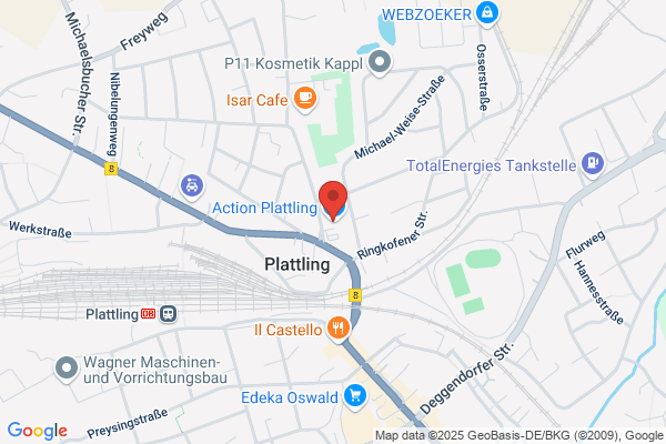 Action Plattling
