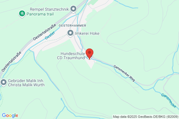 CD Traumhund