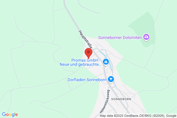 Brüntrup Monika Heilpädagogisches Begleiten mit dem Pferd
