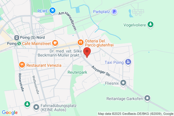 Gisela Mautner