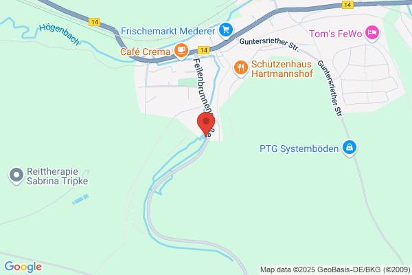 GSO Gesellschaft für