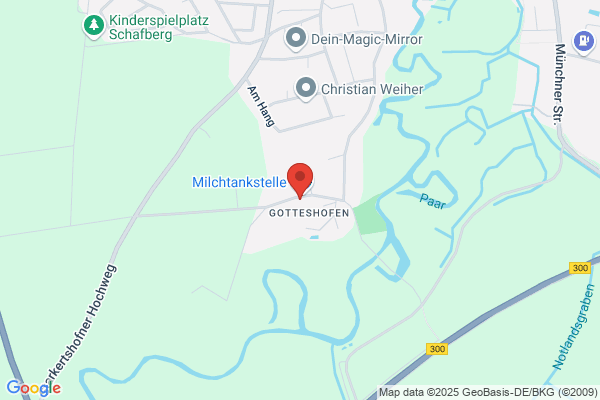 Hoffmann's