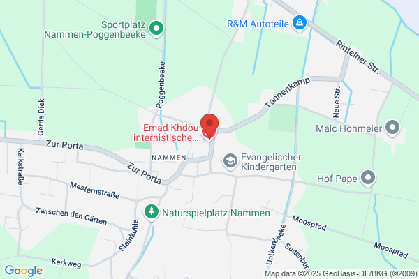 Alten Schule