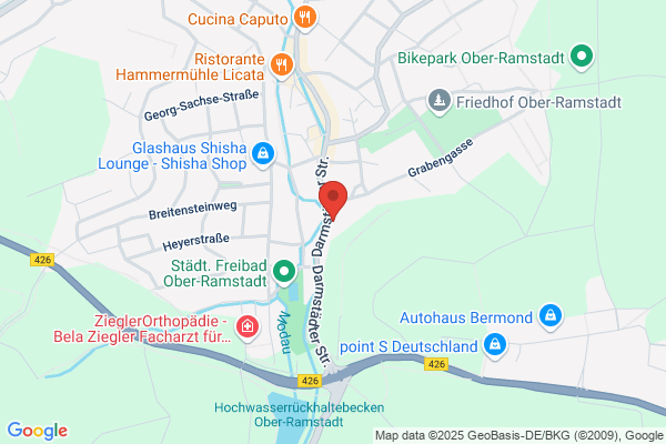 Dani´s Fahrschule