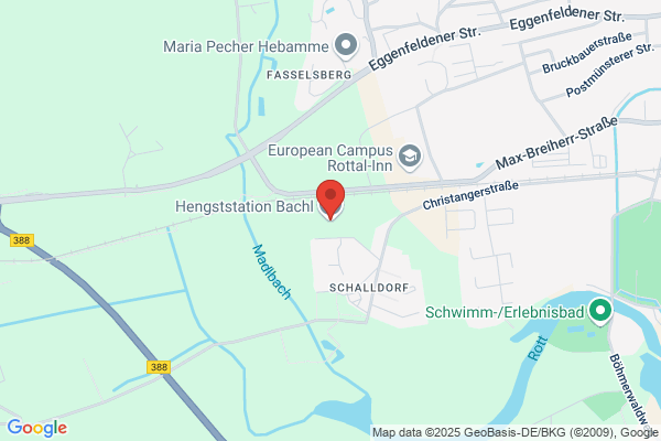 Hengststation Bachl