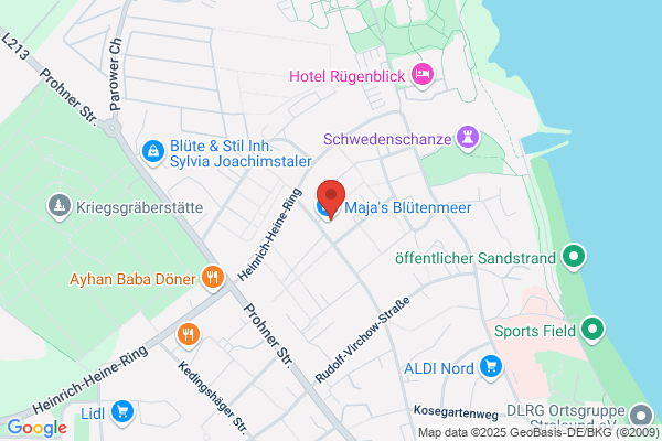 BLUME2000 Stralsund