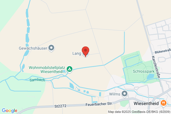 Lang