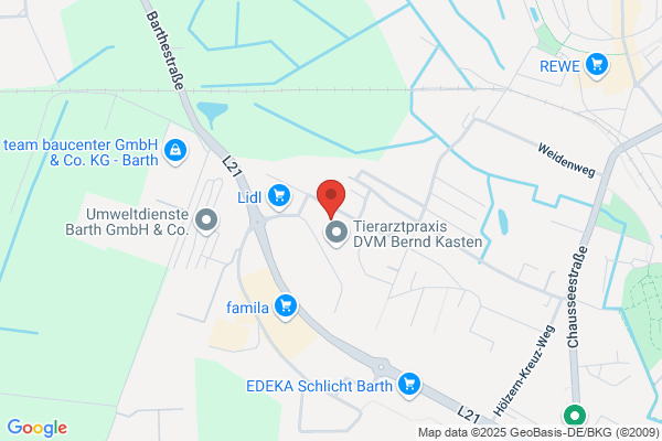 BLUMAG Techn. u. Dienstleistungs GmbH