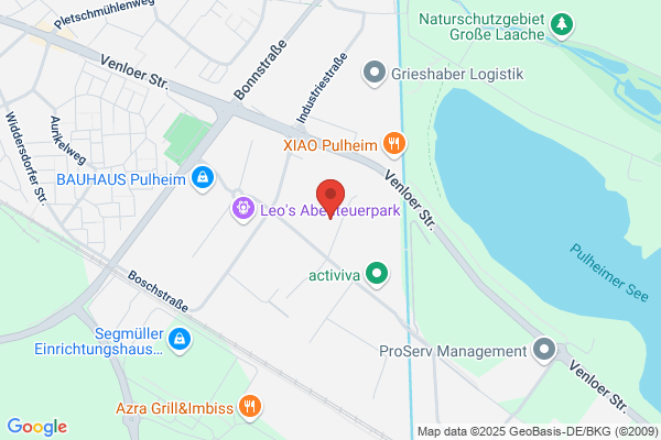 Autohaus Badziong GmbH & Co. KG