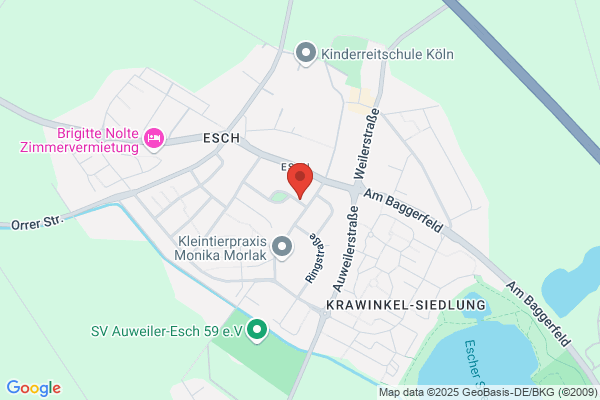 Fahrschule Theo Ibscher