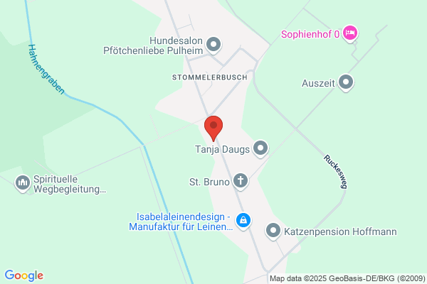 Thomas Pepping, Birgit Hochmann