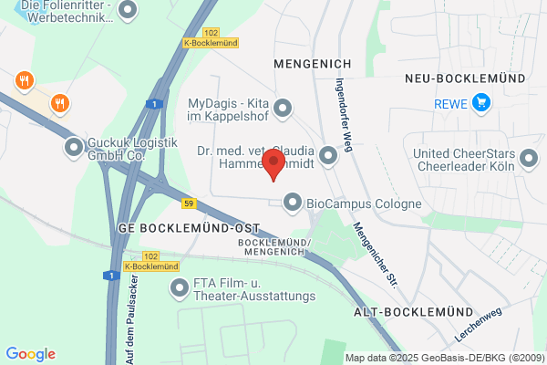 A.Nattermann & Cie.GmbH