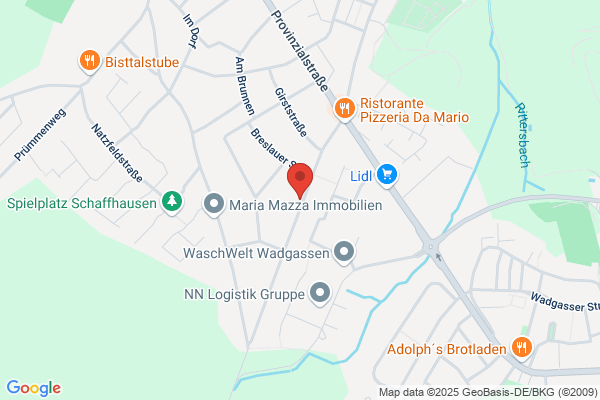 Sigrid Kiefer