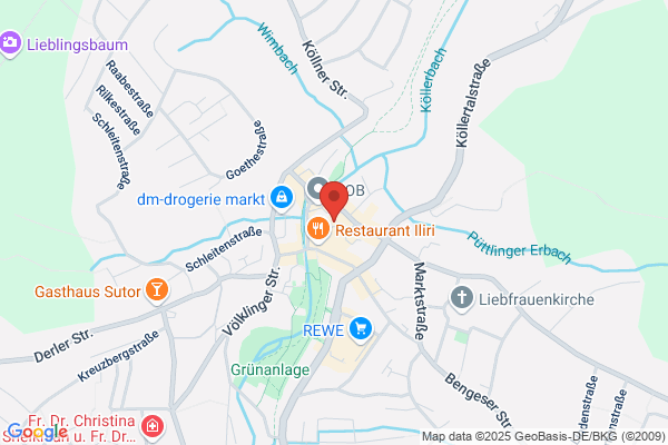 Bettina Krause